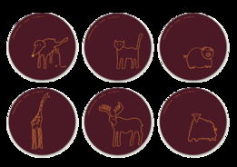 Atipus平面设计与软件开发的跨界融合